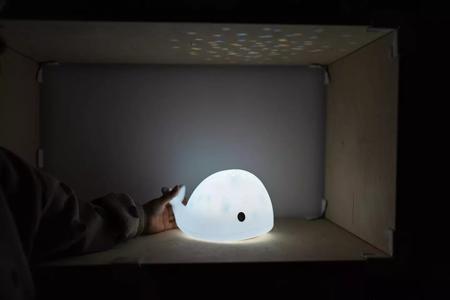 Nattlampa projektor, Moby