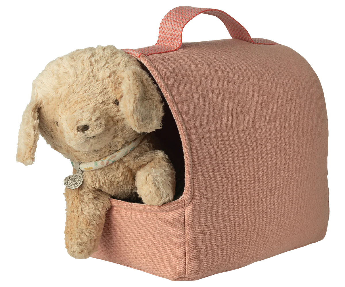 Pet carrier, coral