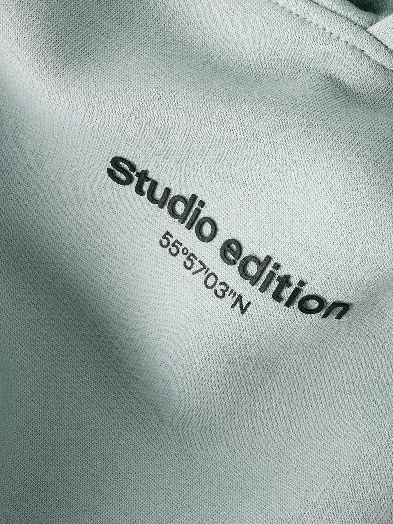Hoodie studio edition, grön