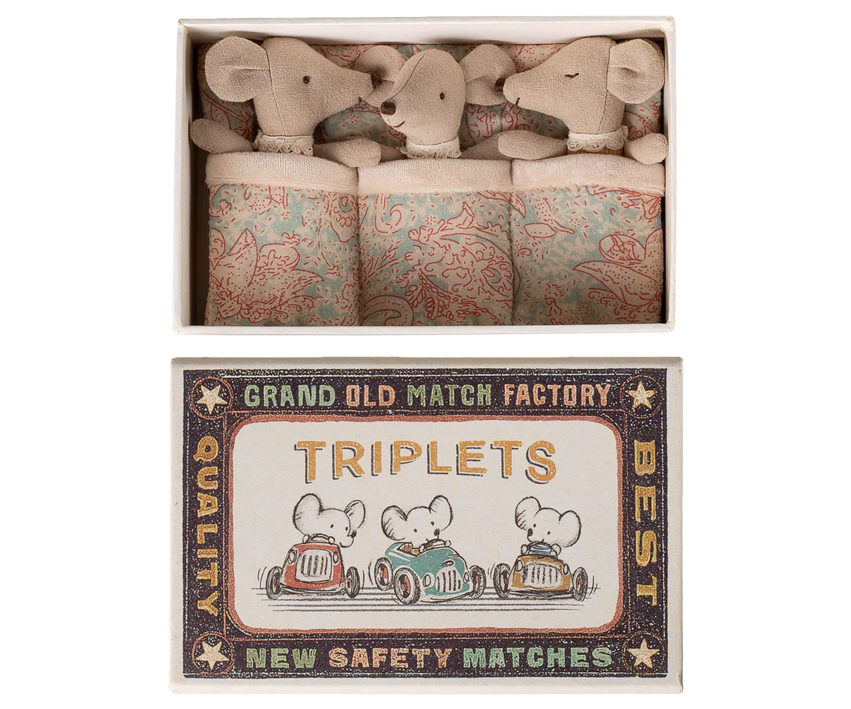 Triplets, baby mice in matchbox - checkers