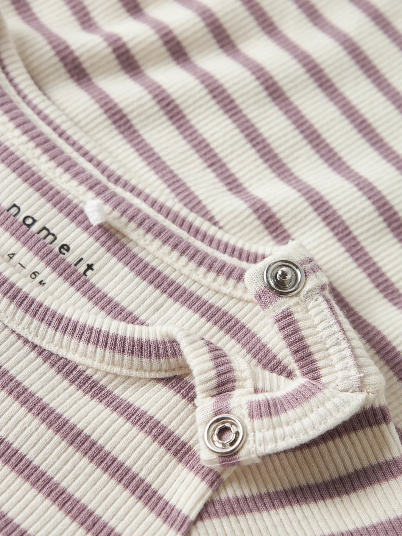 Ribbad body elderberry