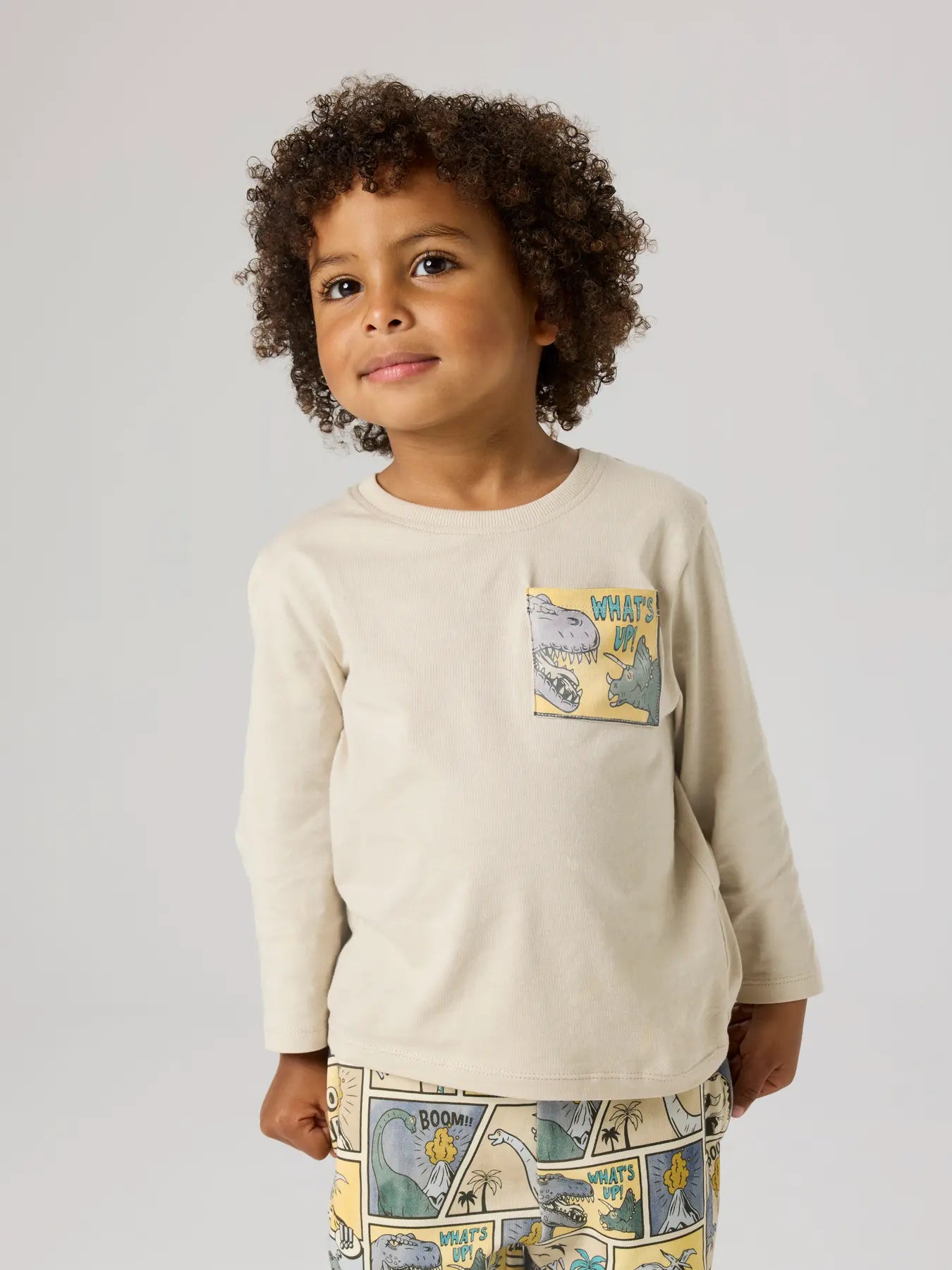 Långärmad tröja med Dinosaurier