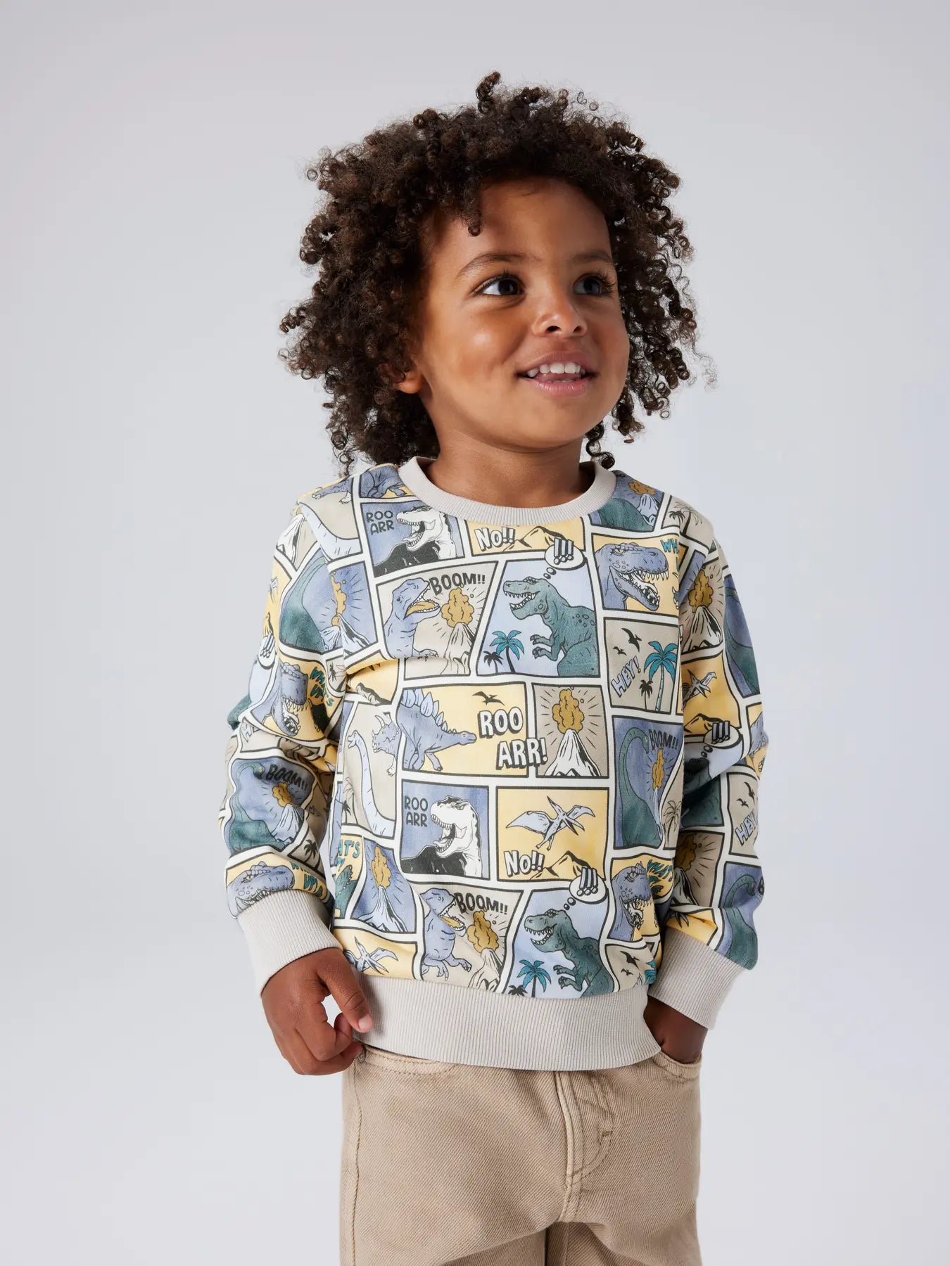 Sweatshirt dinosaurier