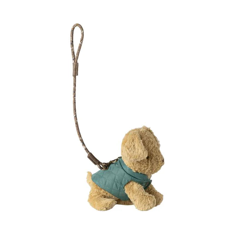 Pet supply, sele - dark mint