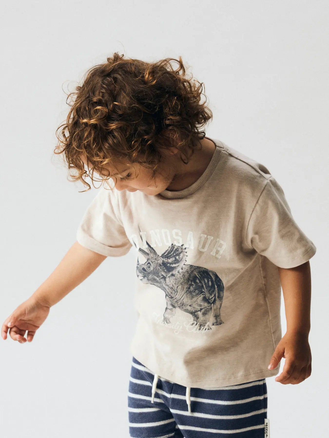 T-shirt Dinosaur, grå/beige