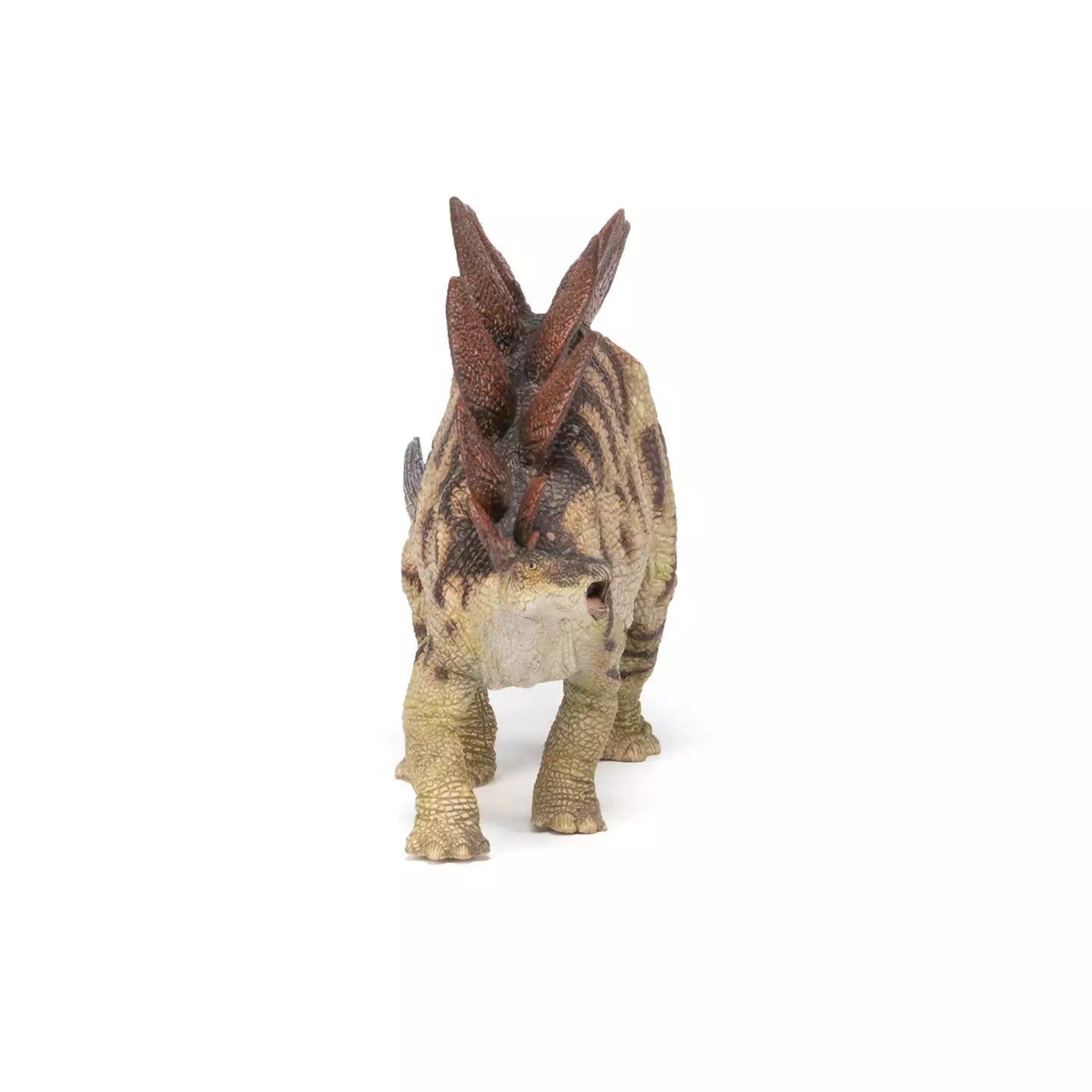 Stegosaurus