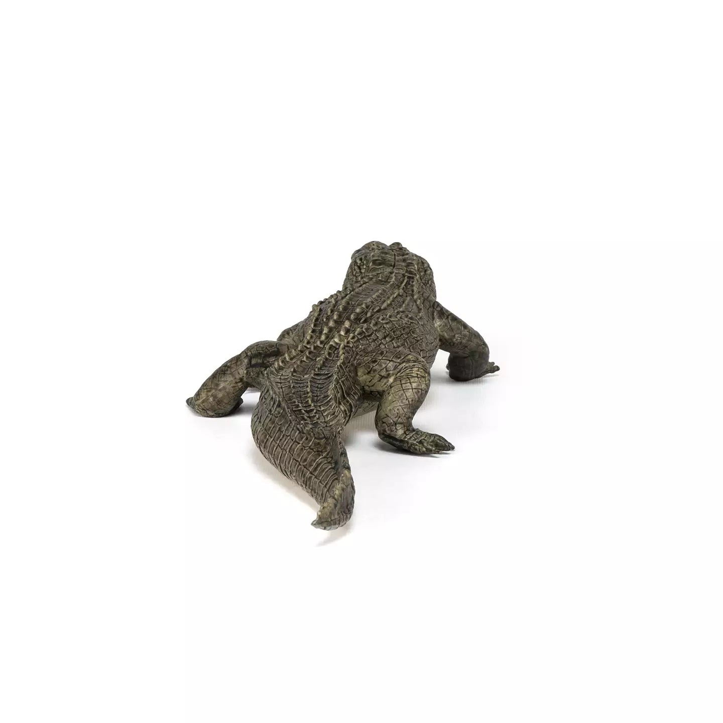 Alligator