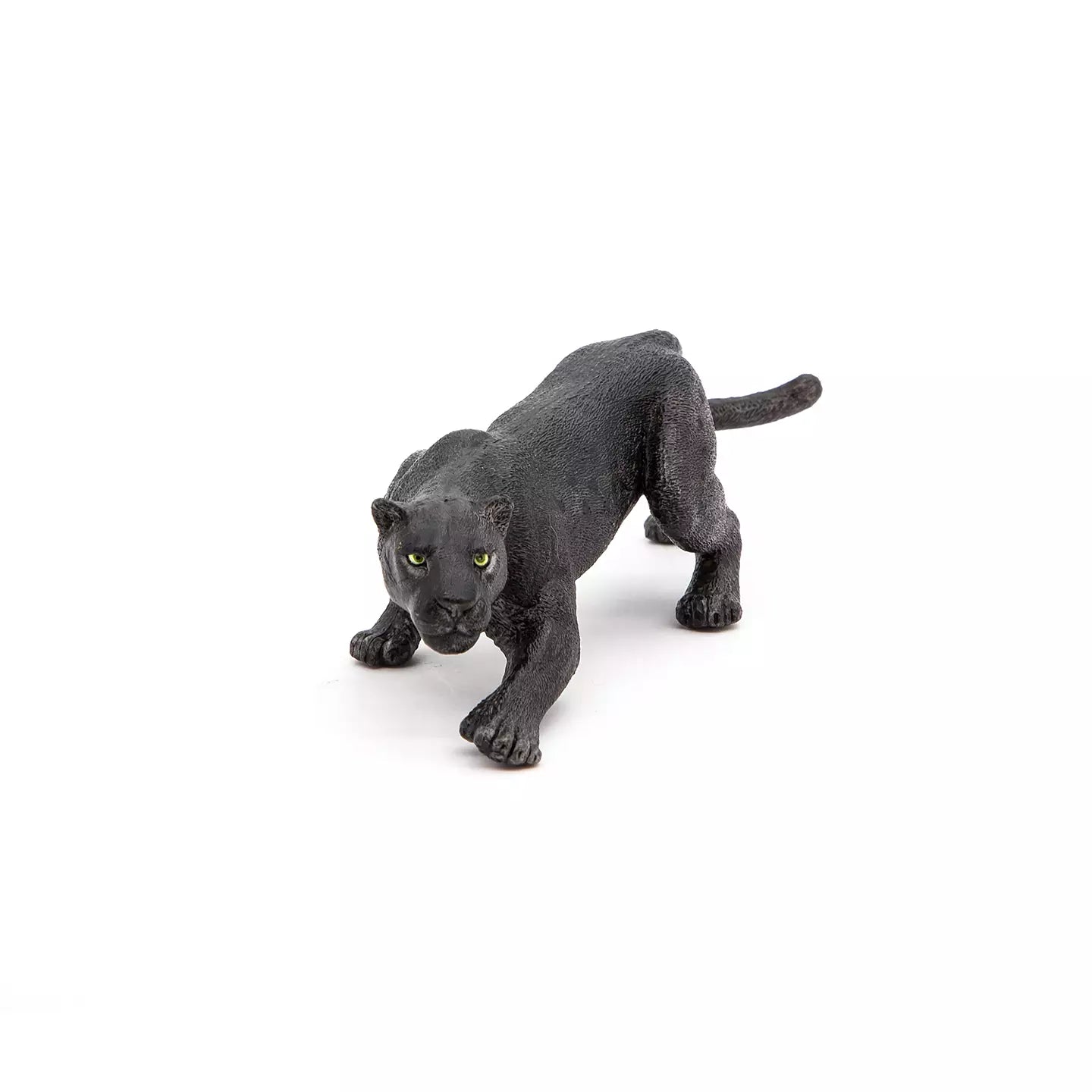Black Leopard
