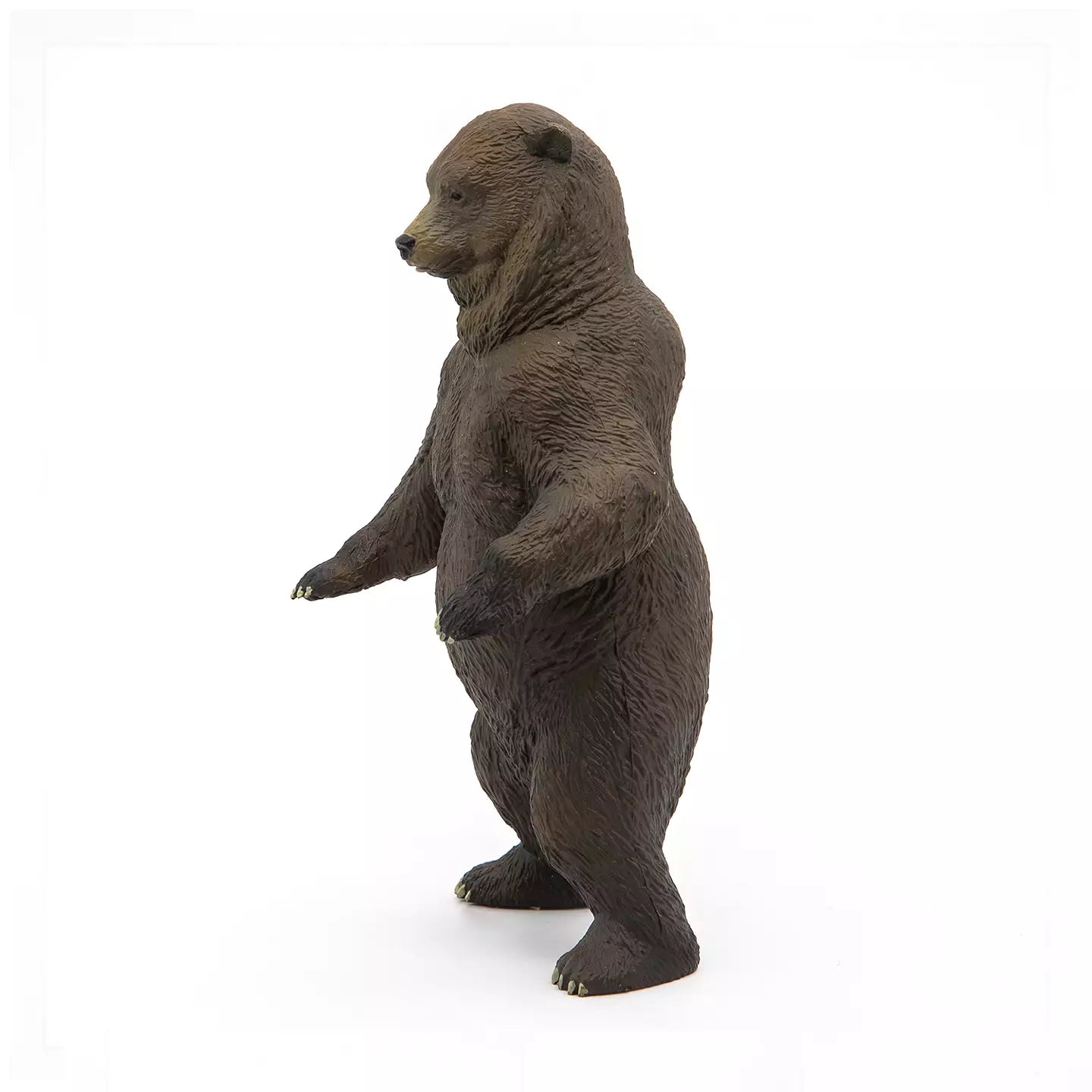 Grizzly Bear
