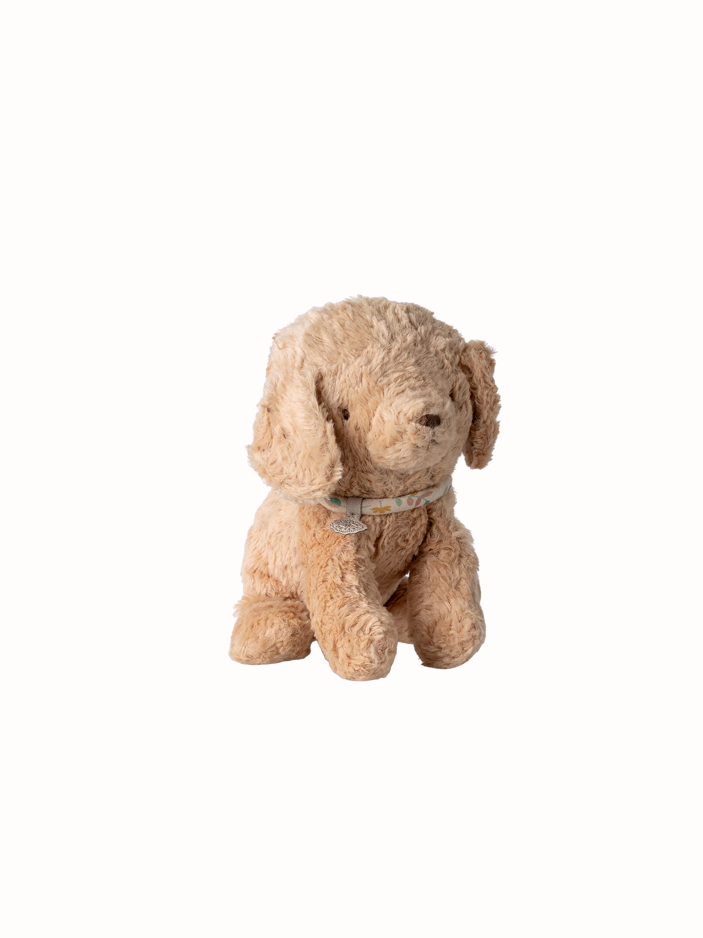 Puppy small, dusty powder