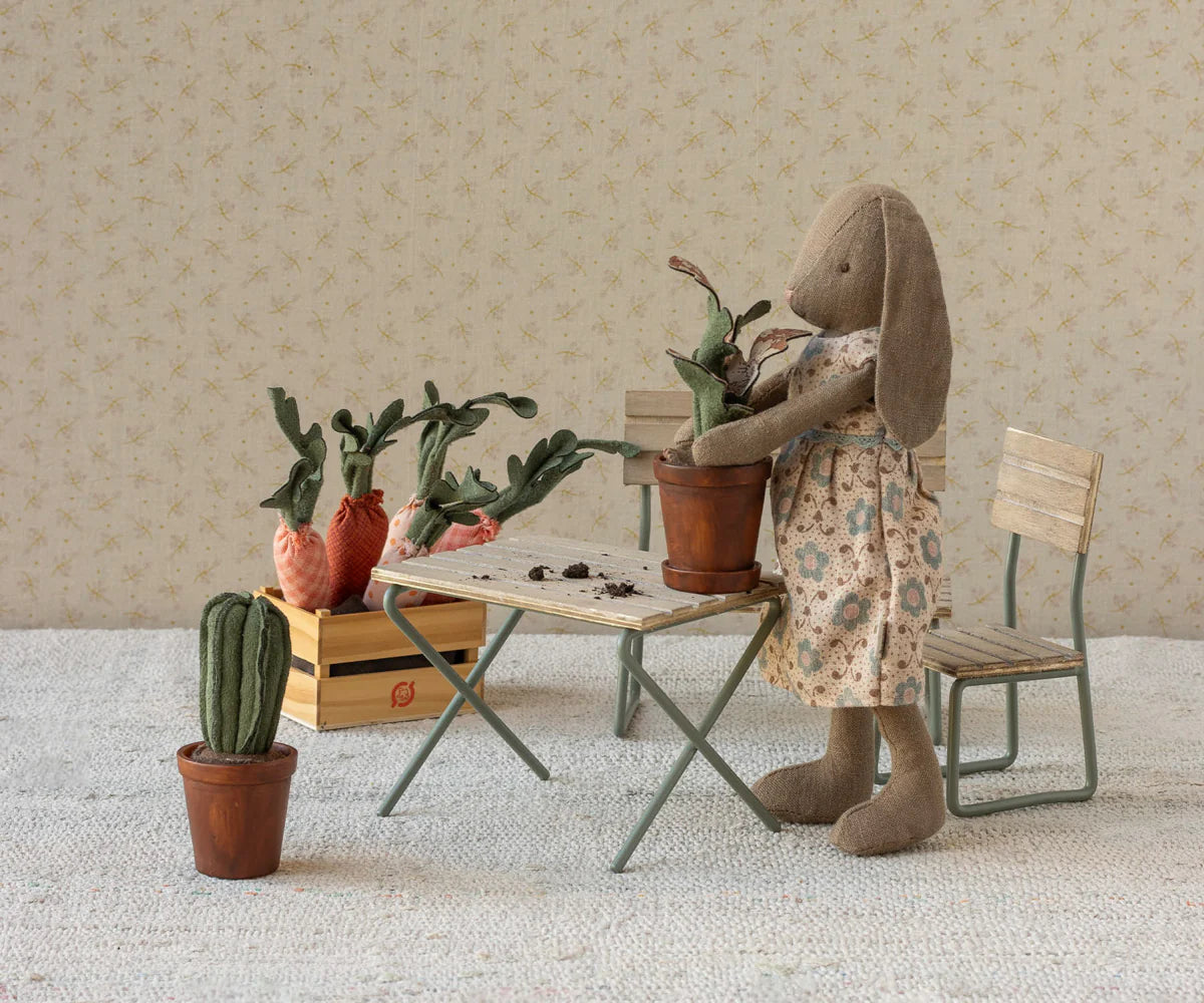 Blomkruka med kaktus