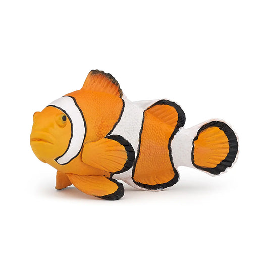 Clownfisk
