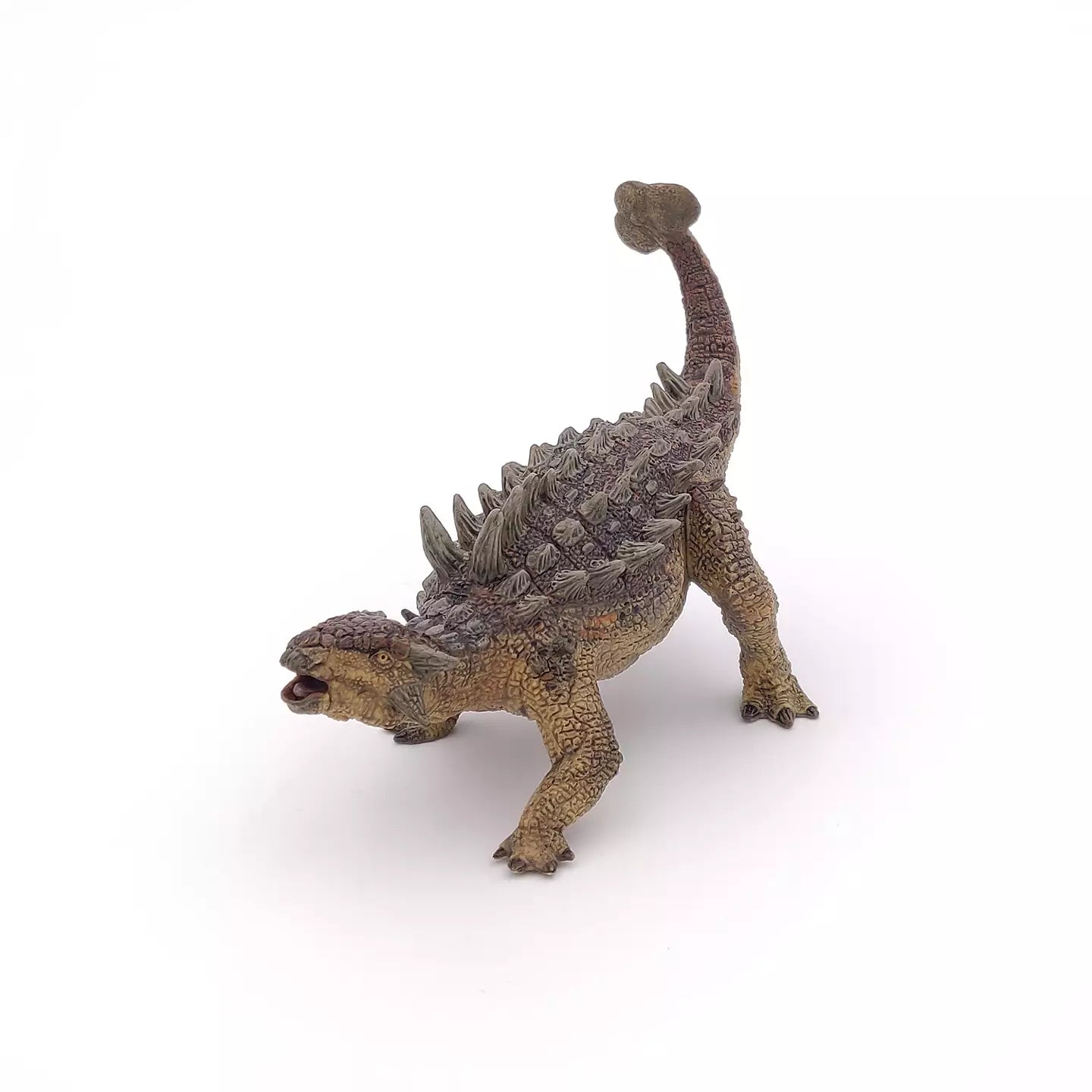 Ankylosaurus