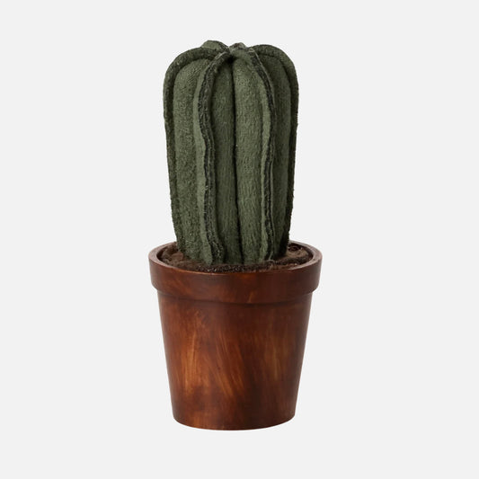 Blomkruka med kaktus