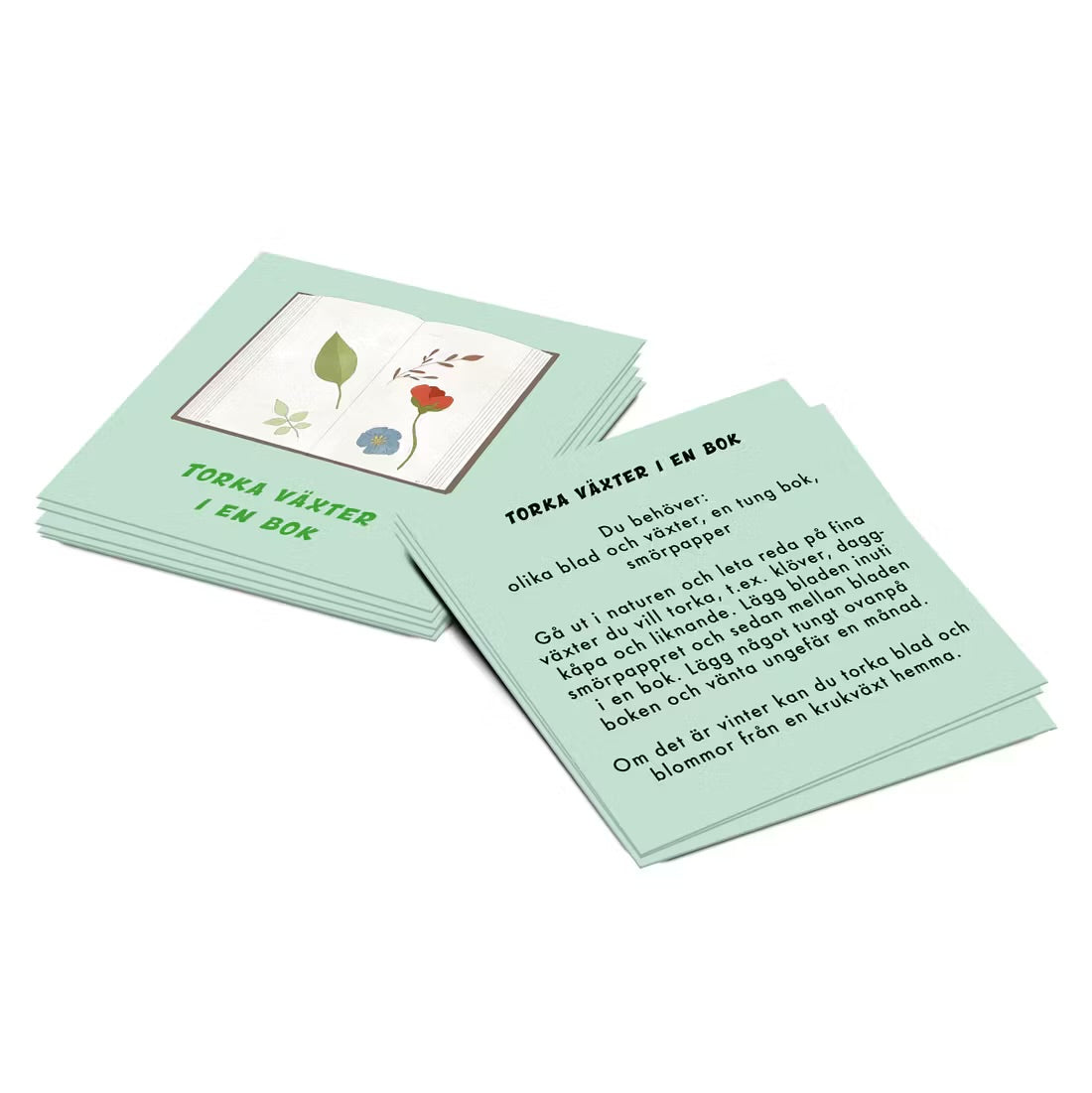 Aktivitetskort Naturen