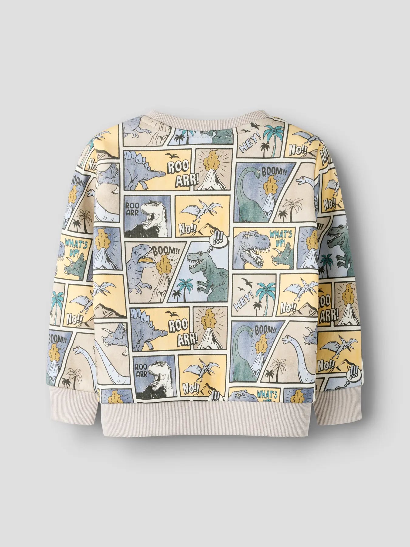 Sweatshirt dinosaurier
