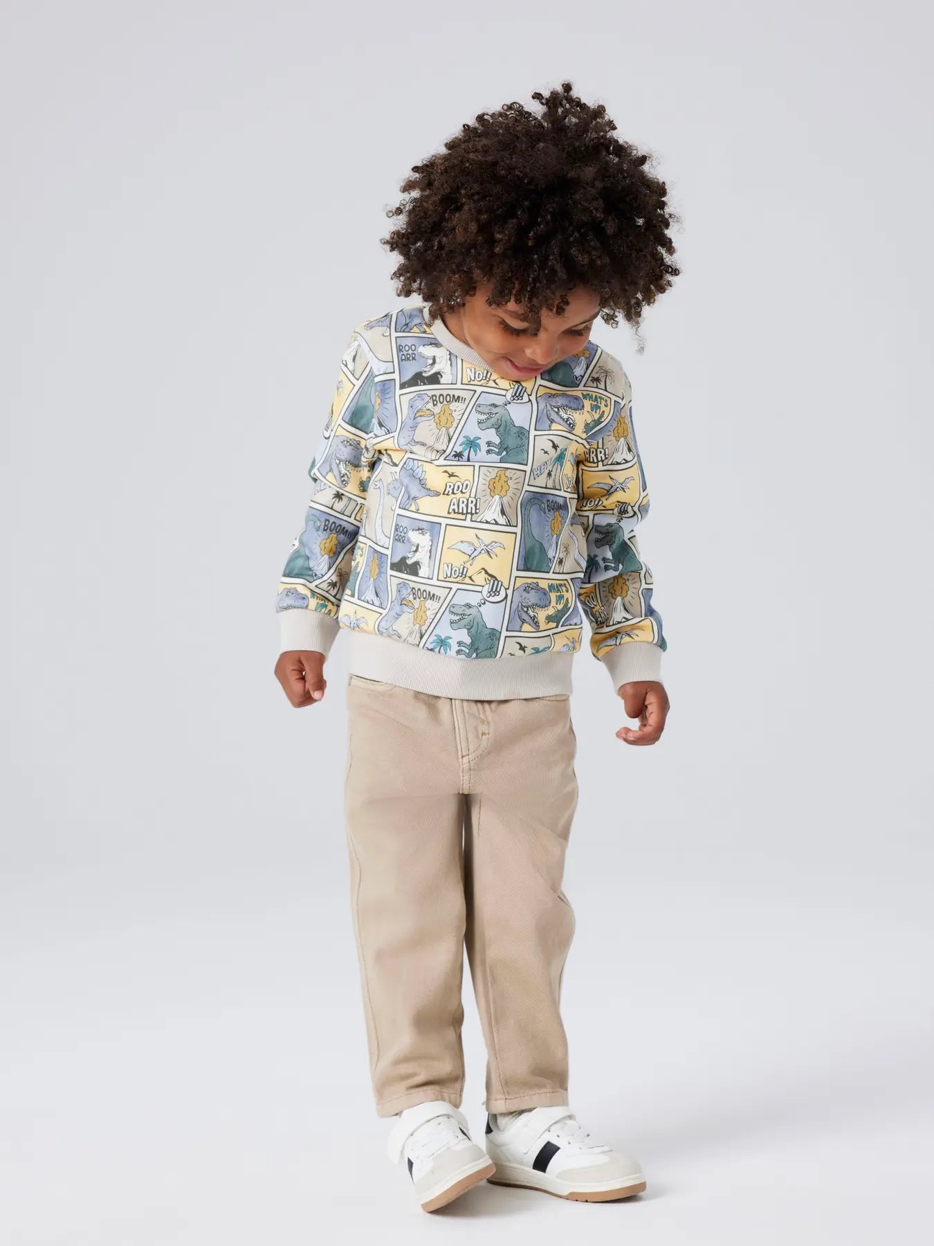 Sweatshirt dinosaurier