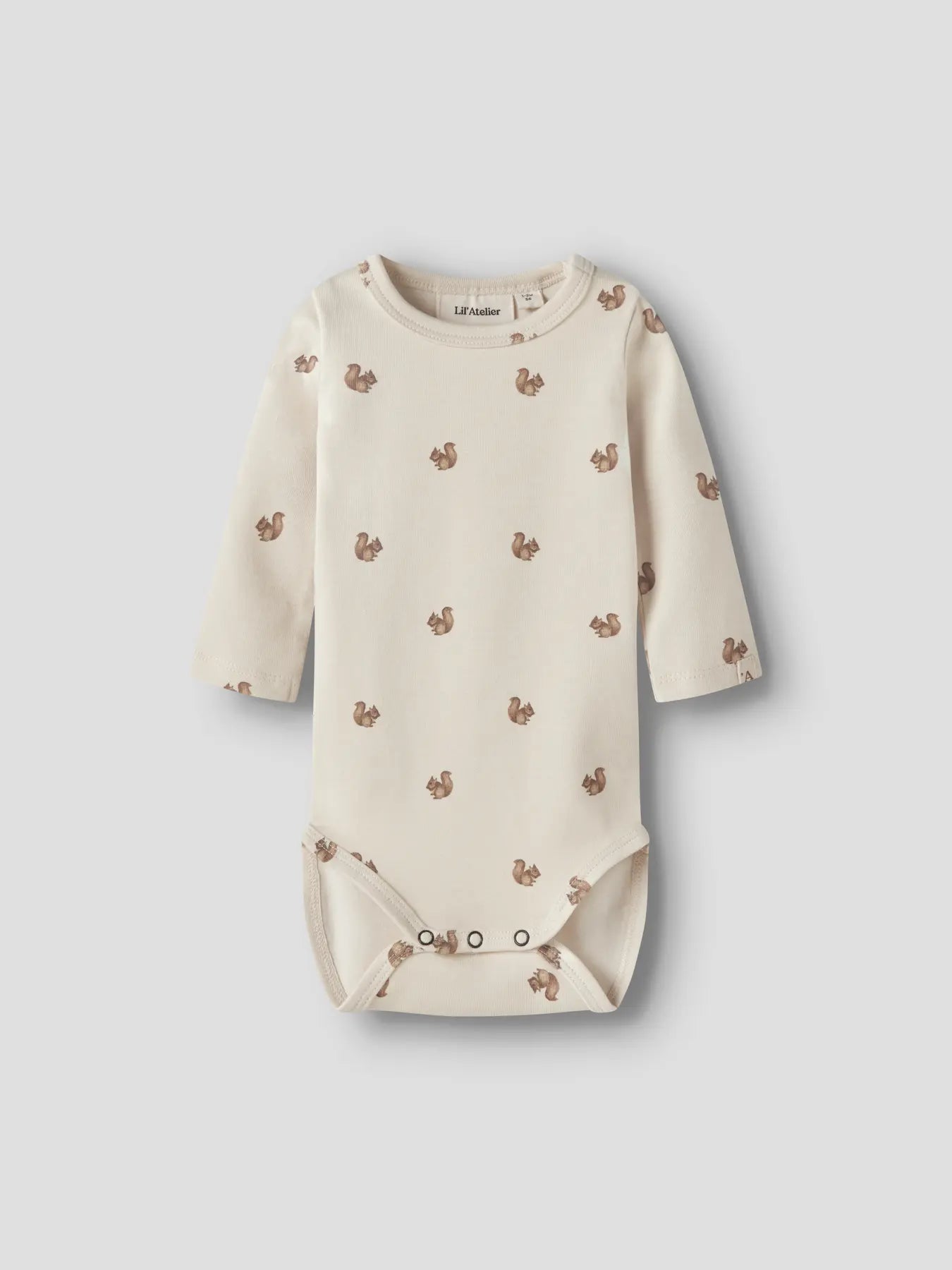 Body Layo, Squirrel