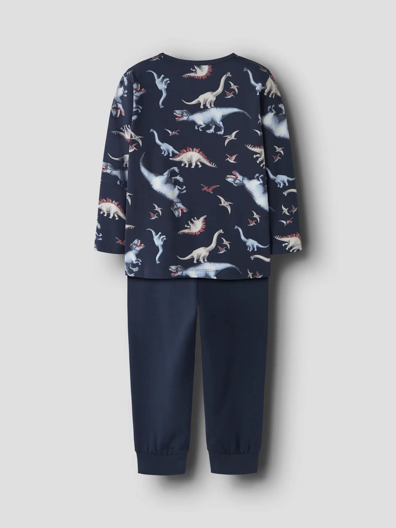 Pyjamas Dinosaurier