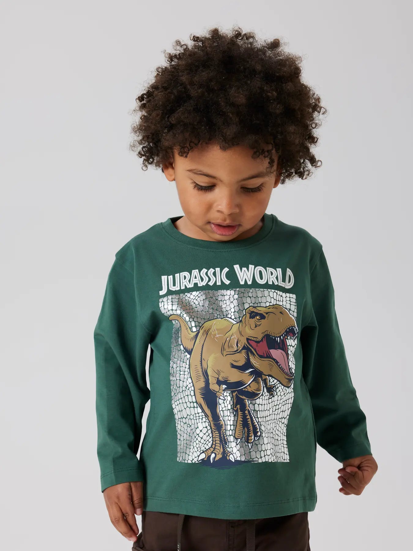 Tröja Jewel Jurassic world