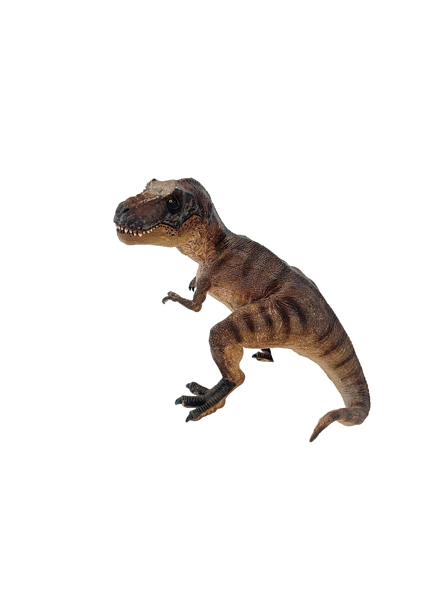 T-Rex