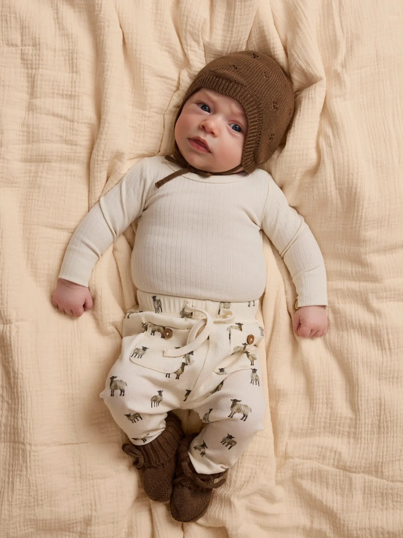 Babybyxa Gavo, lamm