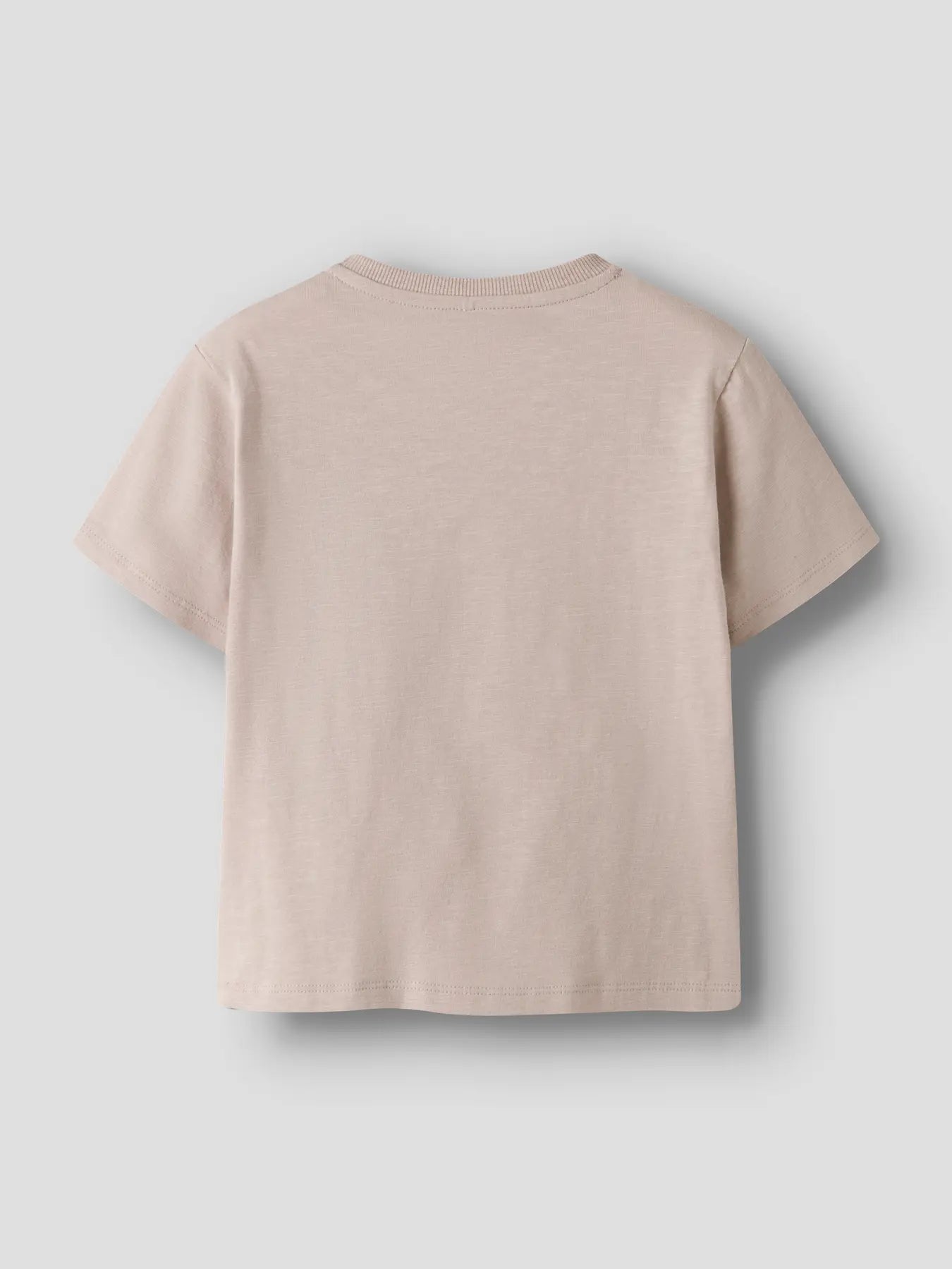 T-shirt Dinosaur, grå/beige
