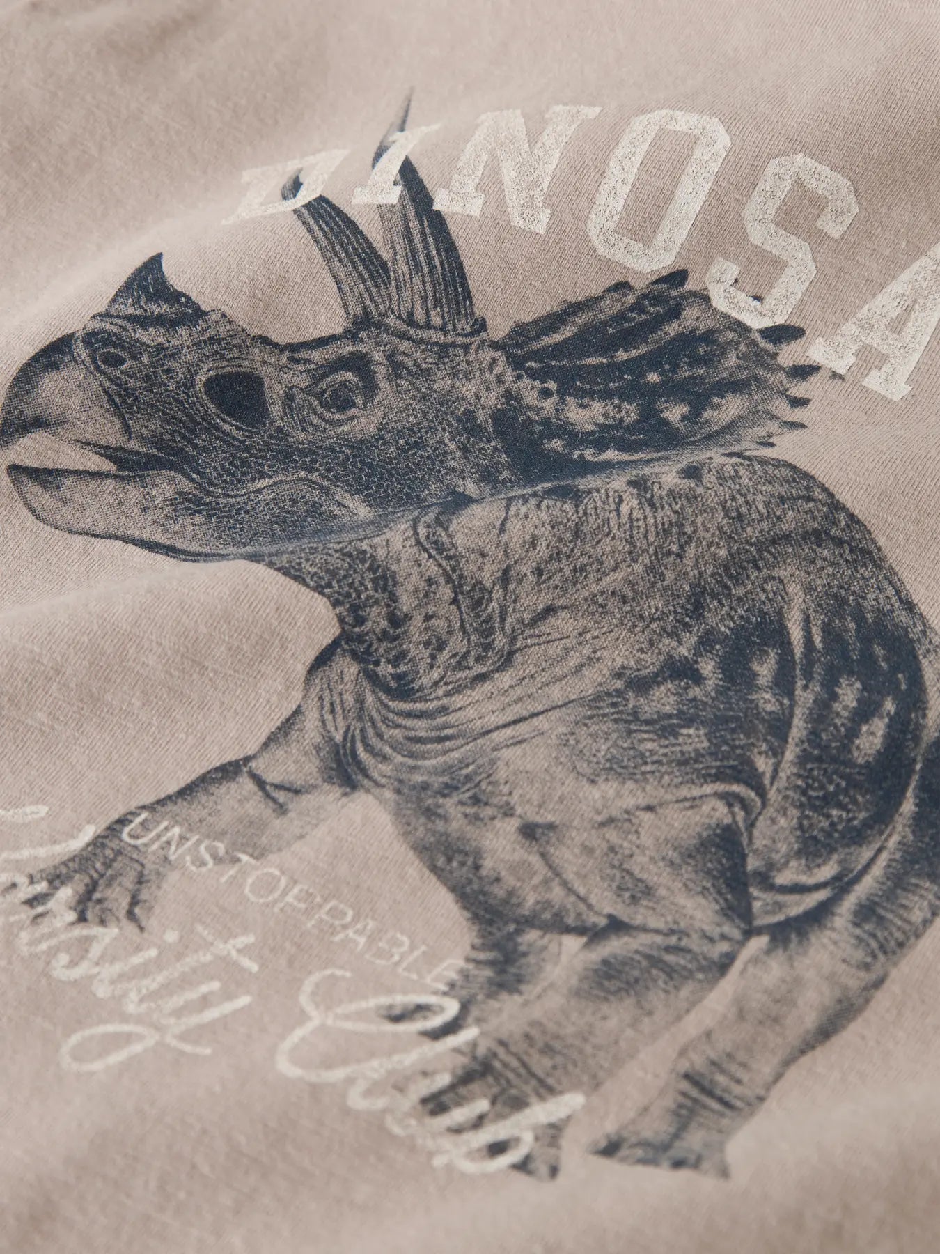 T-shirt Dinosaur, grå/beige