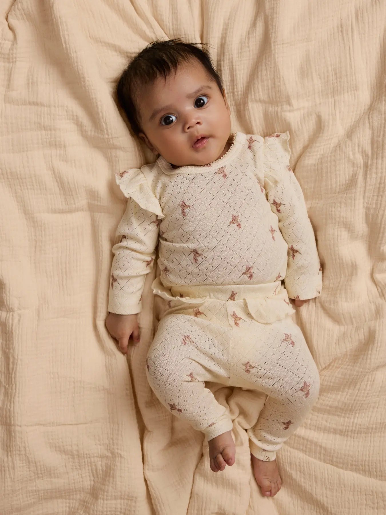 Rachello leggings Bird