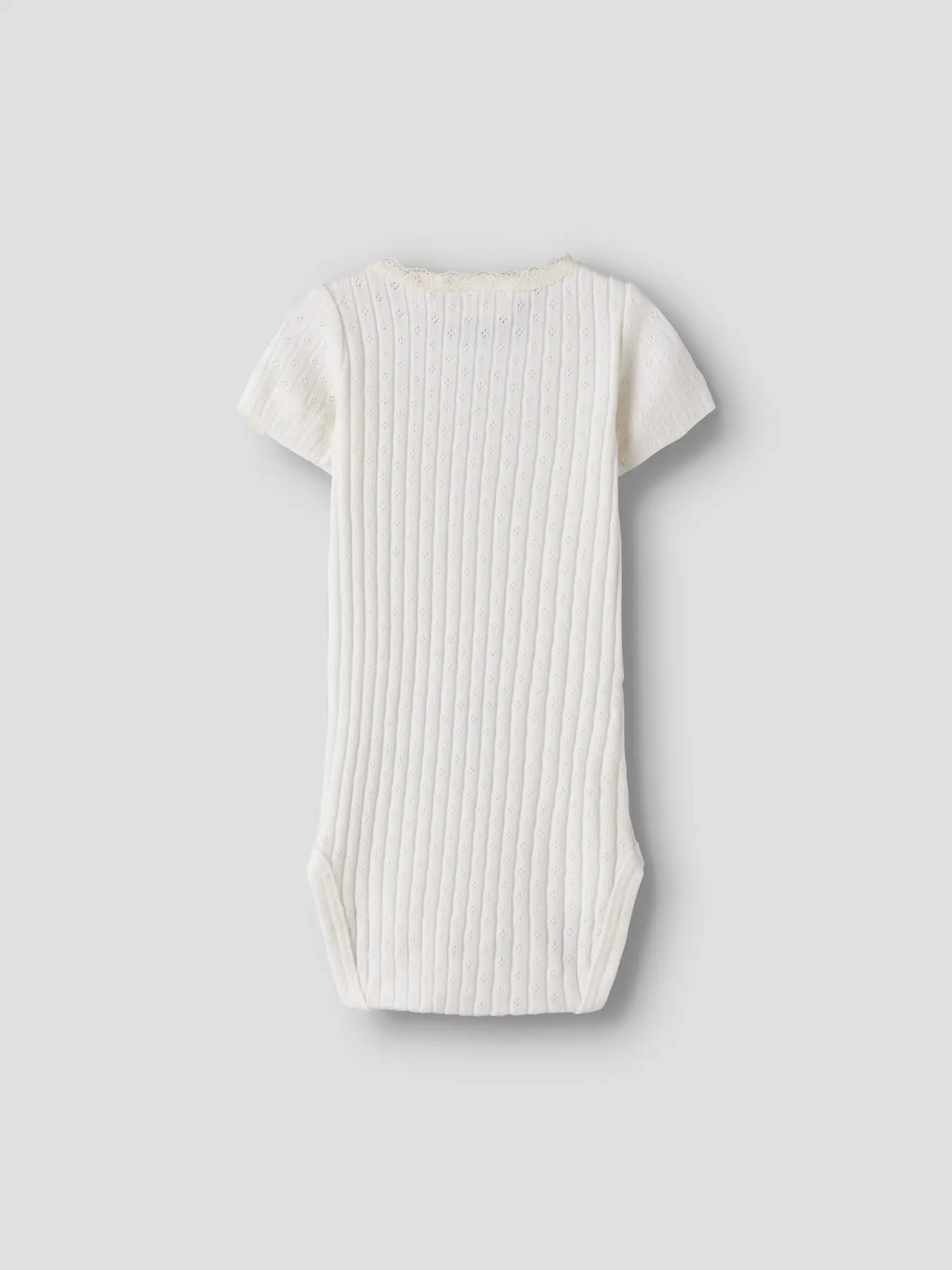 Body Haldis, vit