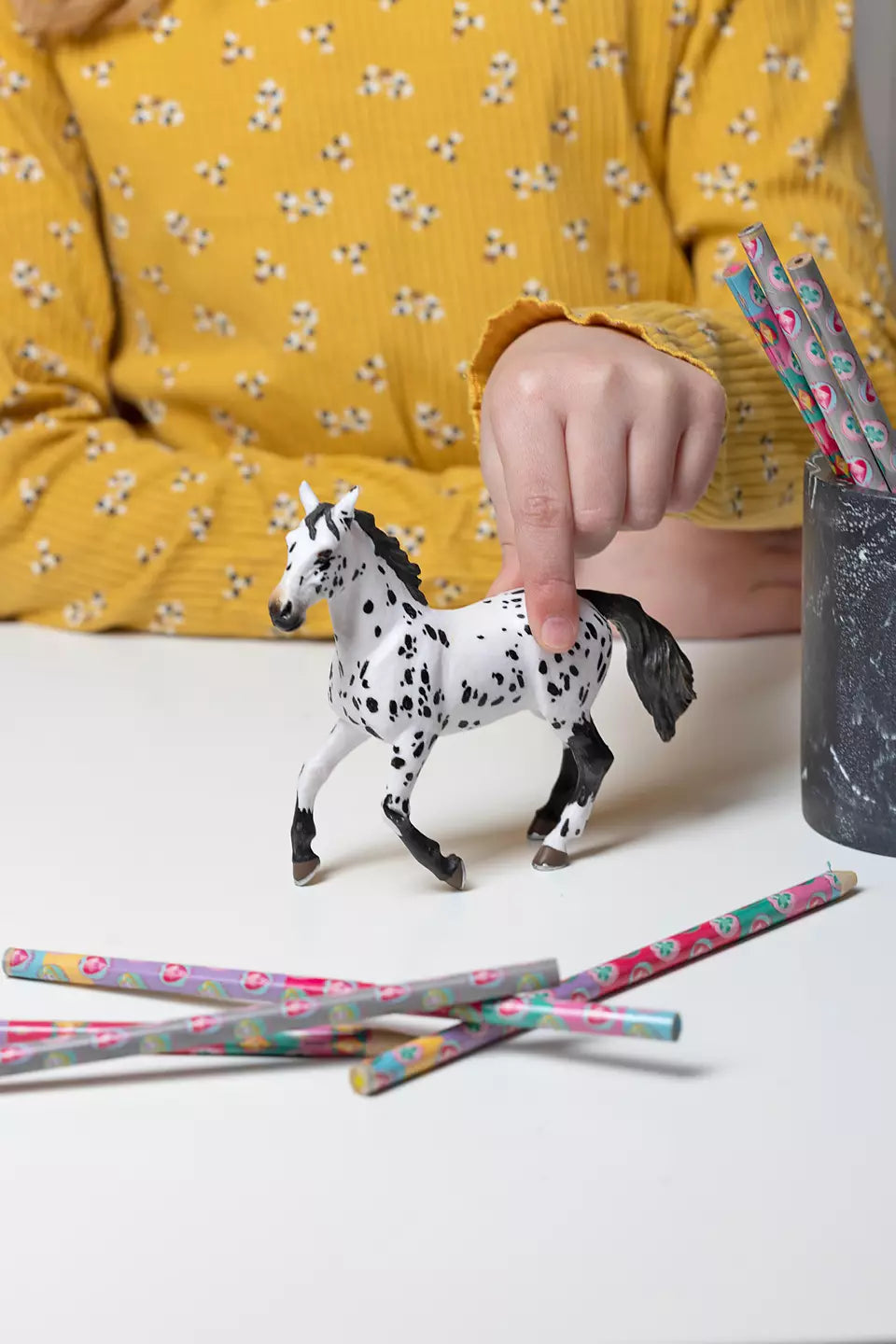 Black Appaloosa Horse