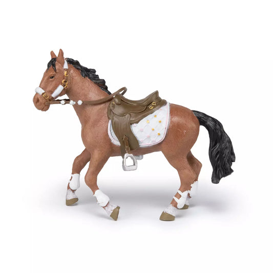 Winter rider's horse