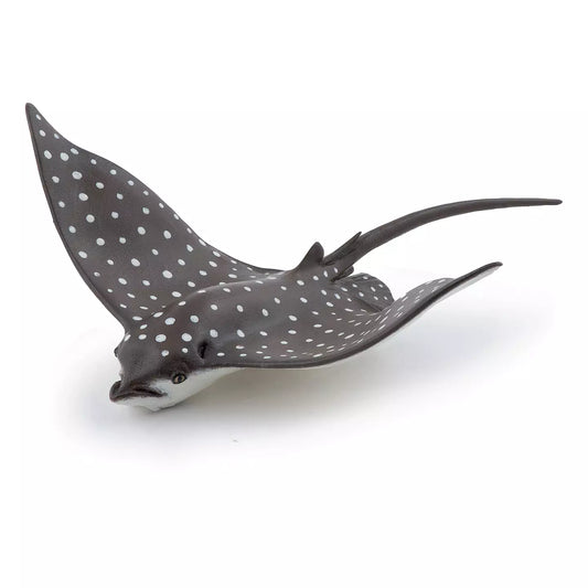 Spotted Eagle Ray