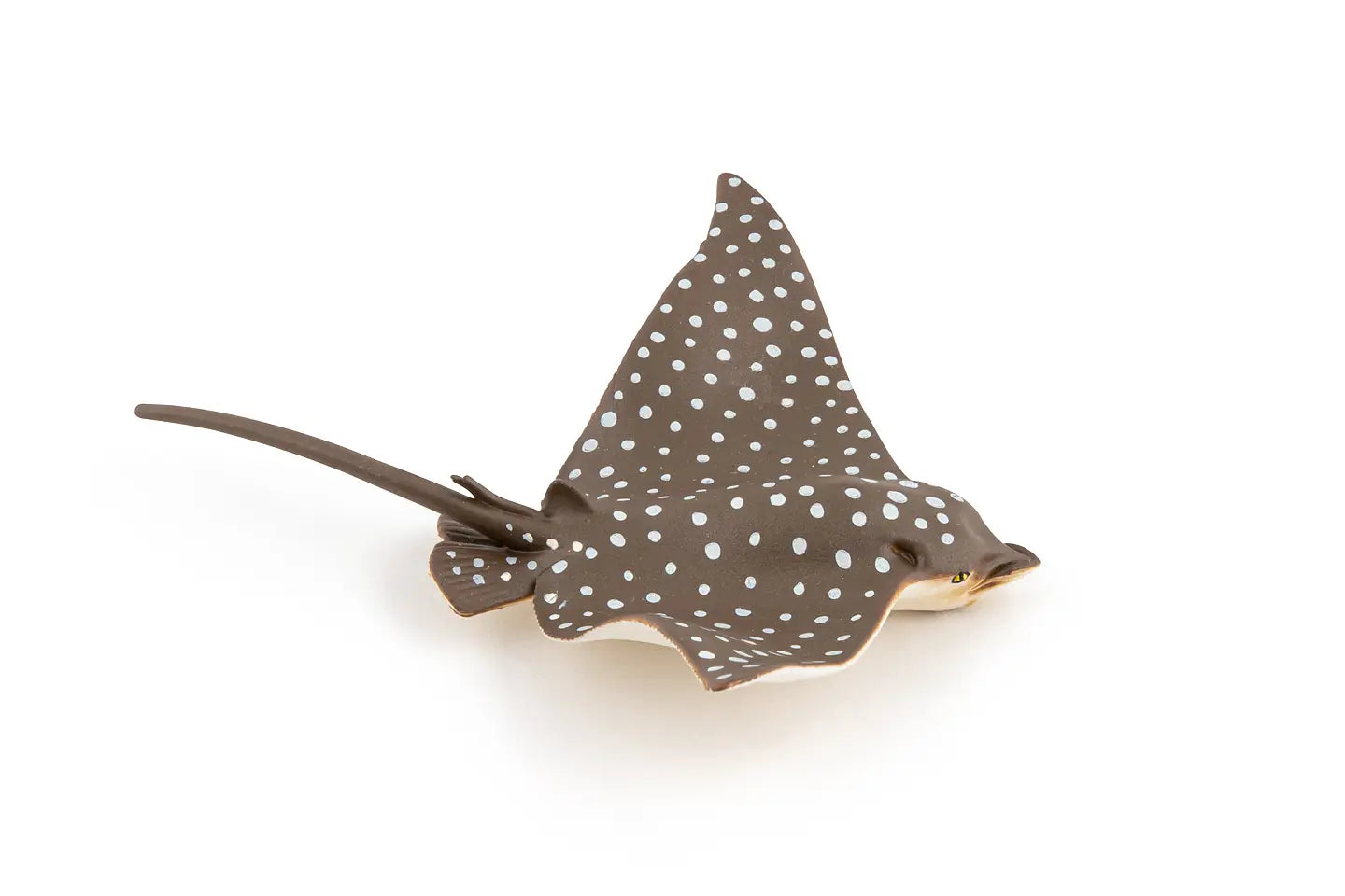 Spotted Eagle Ray