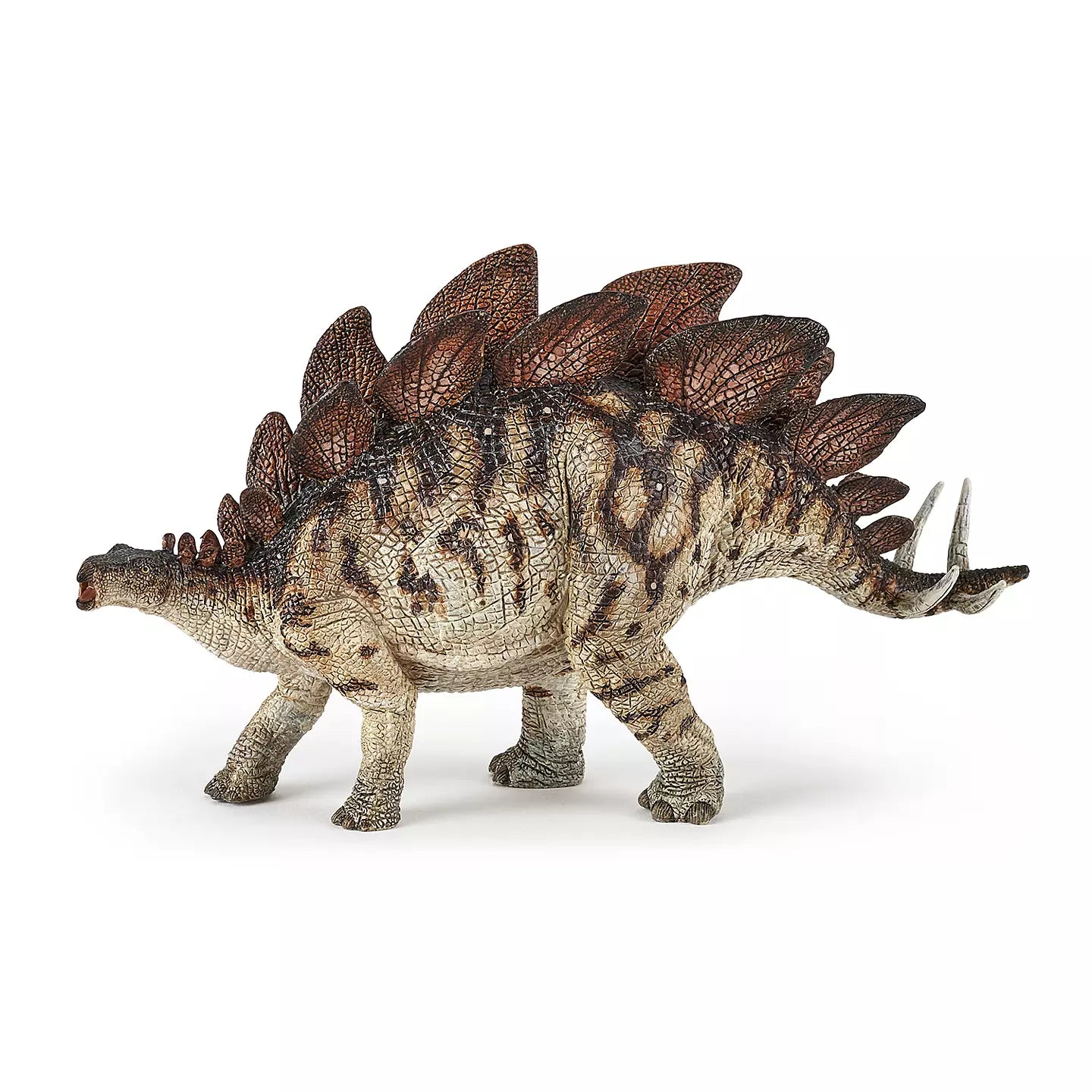 Stegosaurus