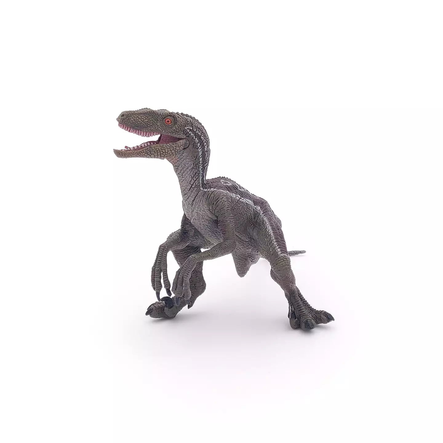 Velociraptor