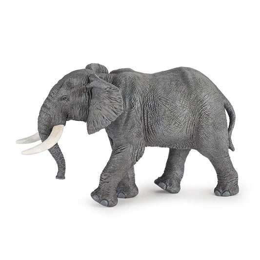 African Elephant