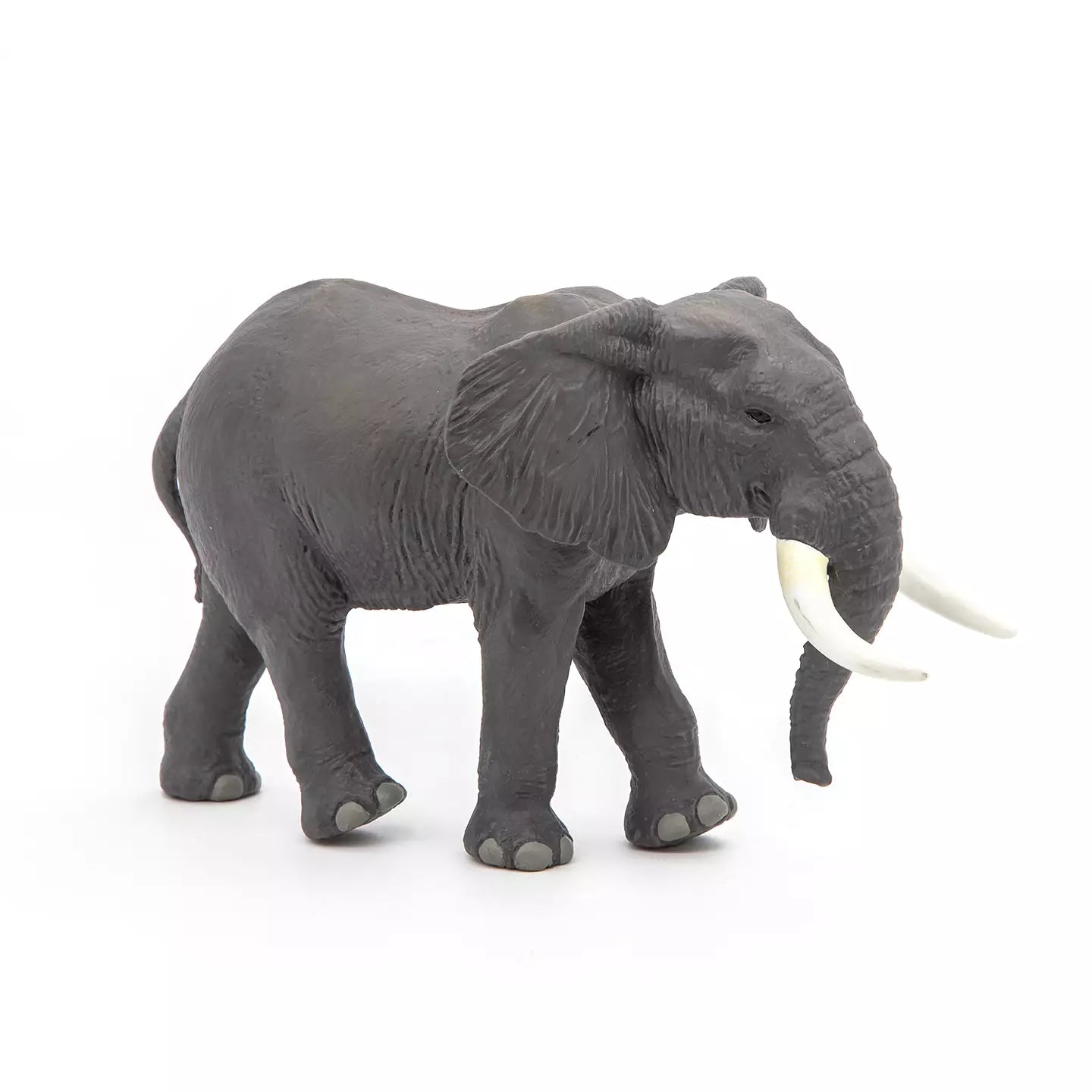 African Elephant