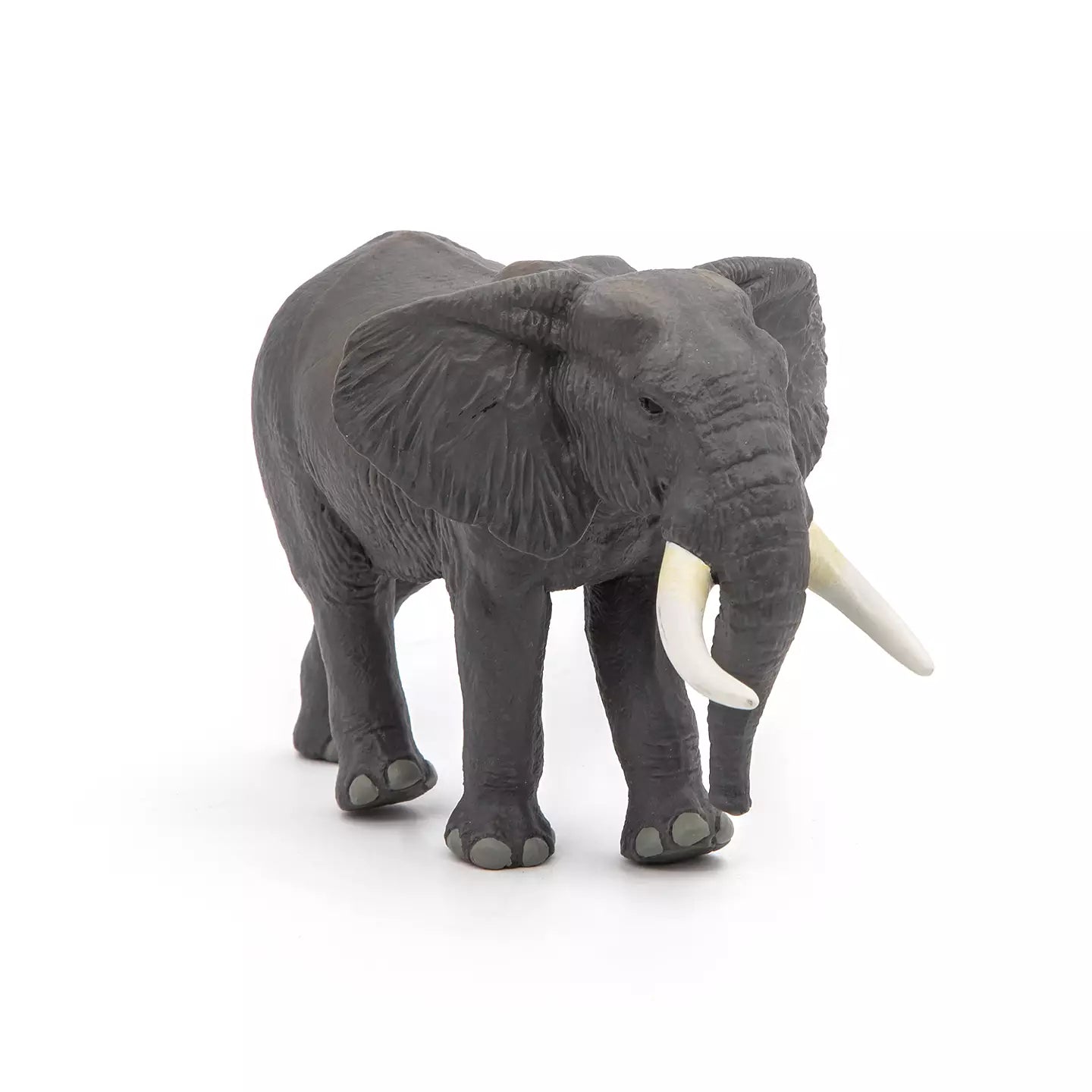 African Elephant