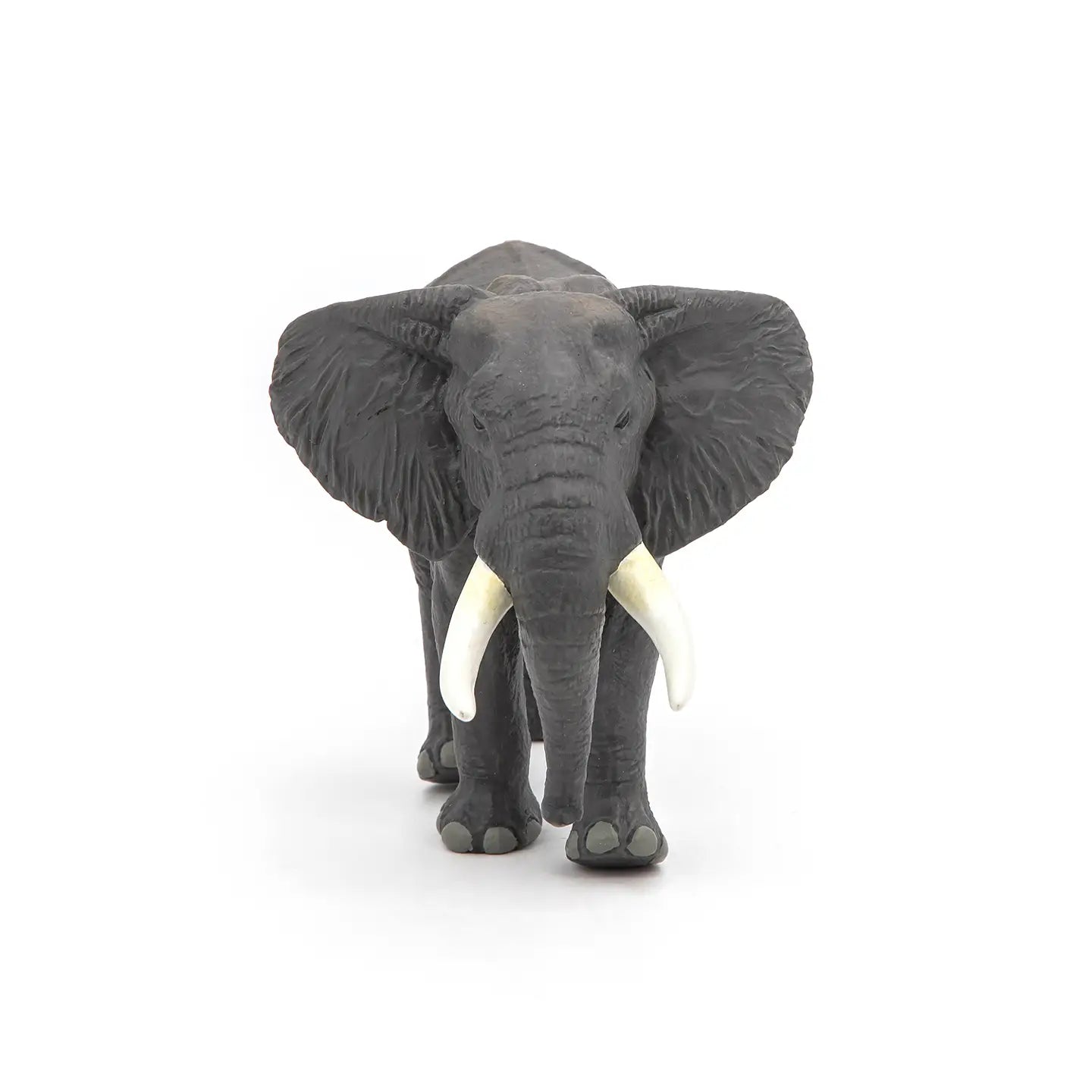 African Elephant