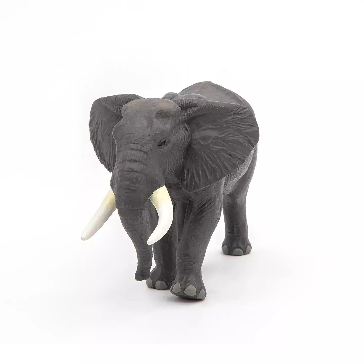 African Elephant