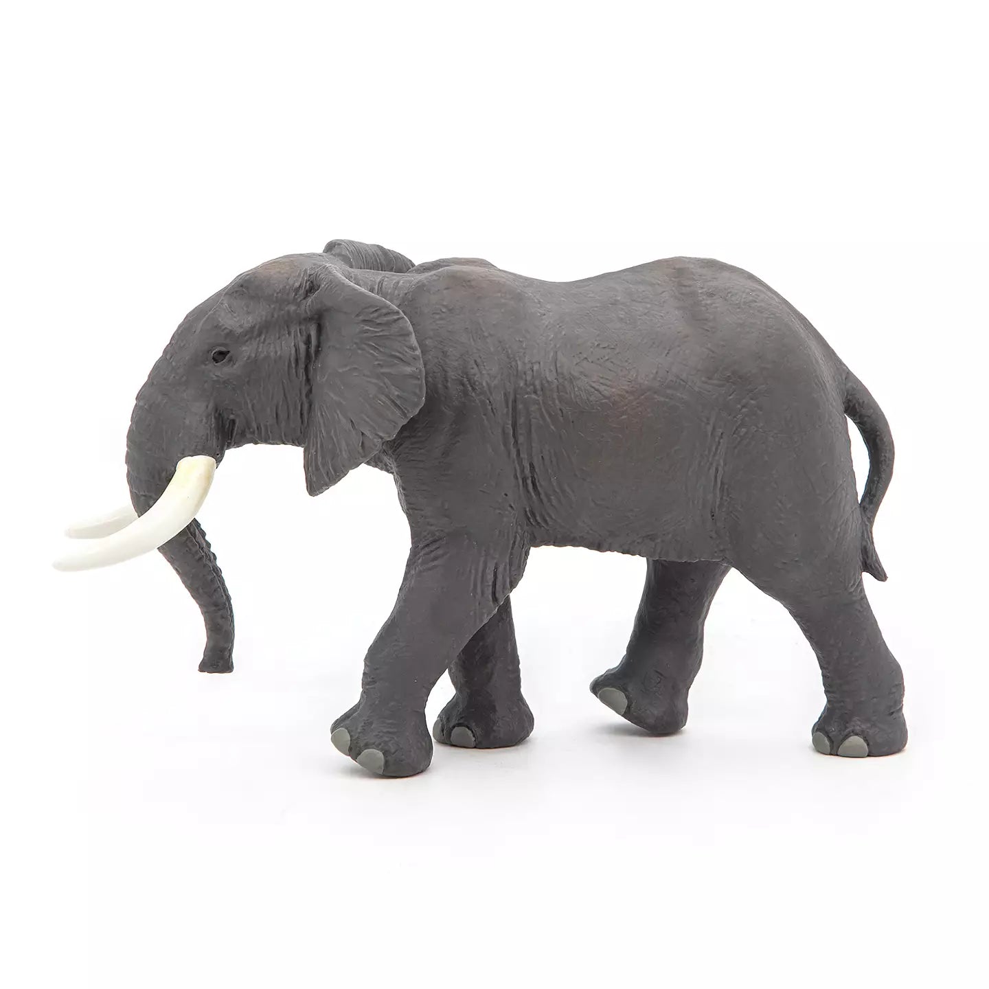 African Elephant