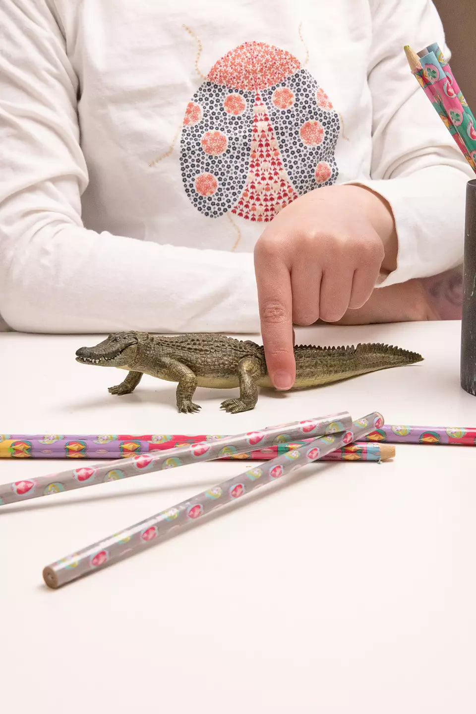 Alligator