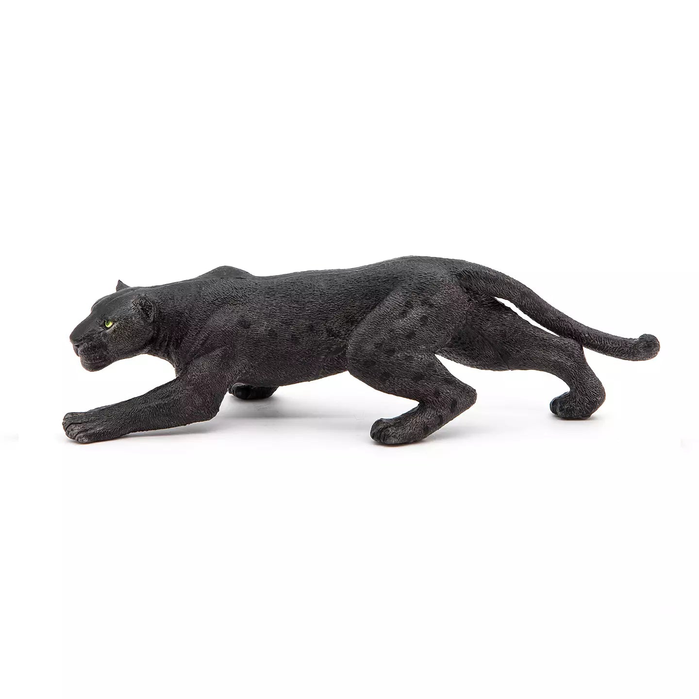 Black Leopard