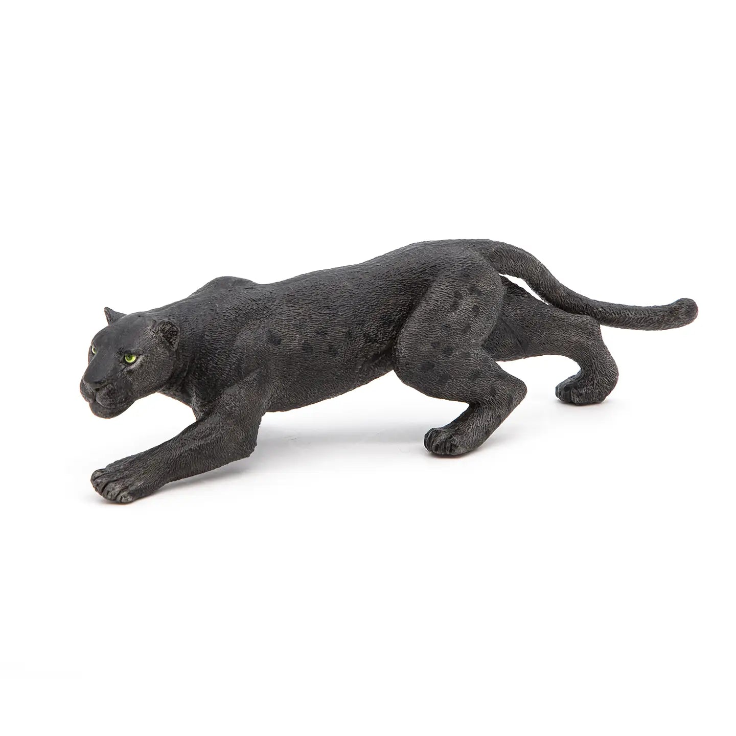 Black Leopard