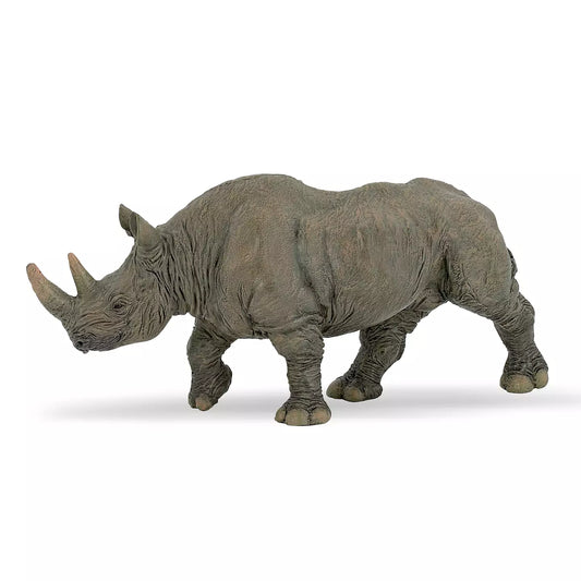 Black Rhinoceros