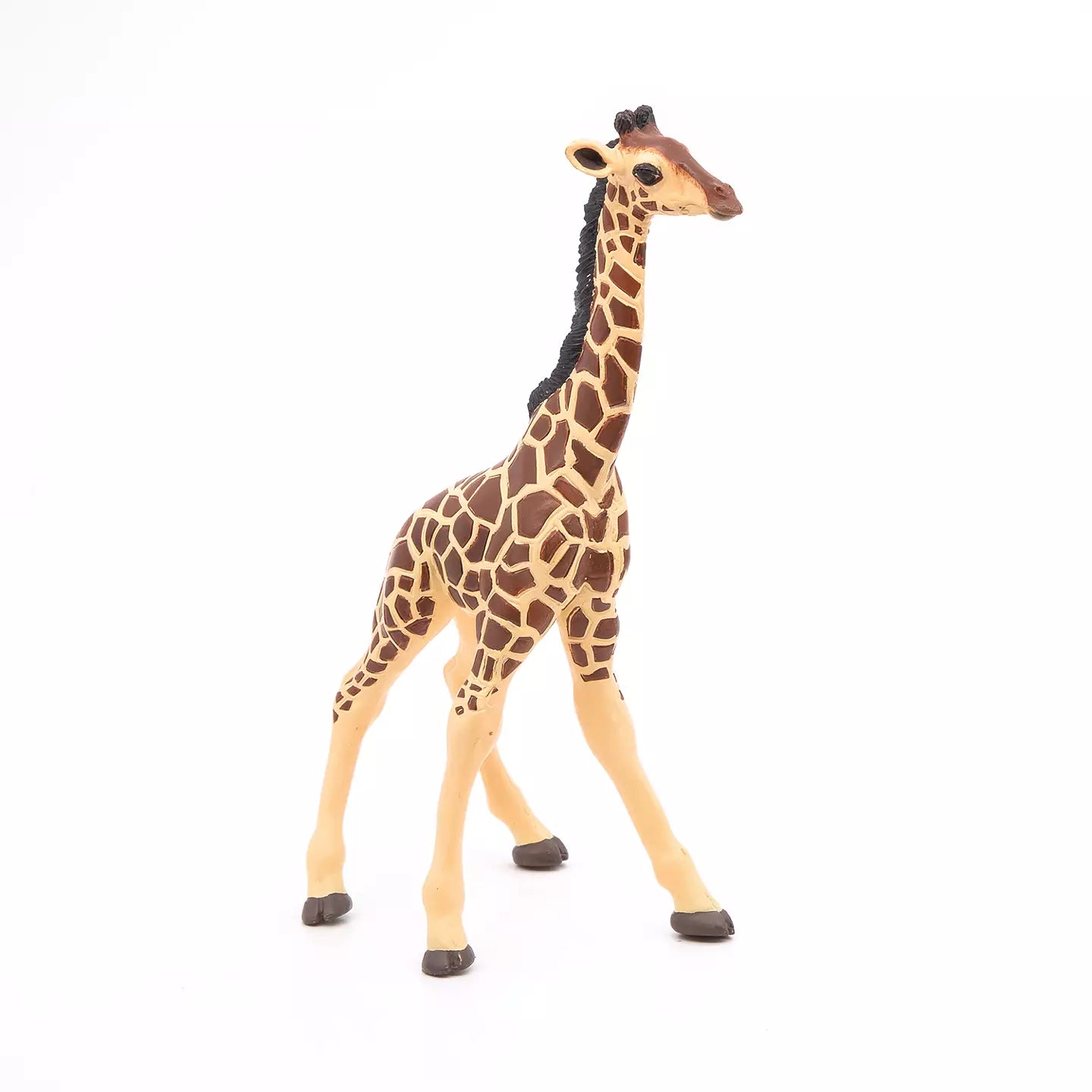 Giraffe calf