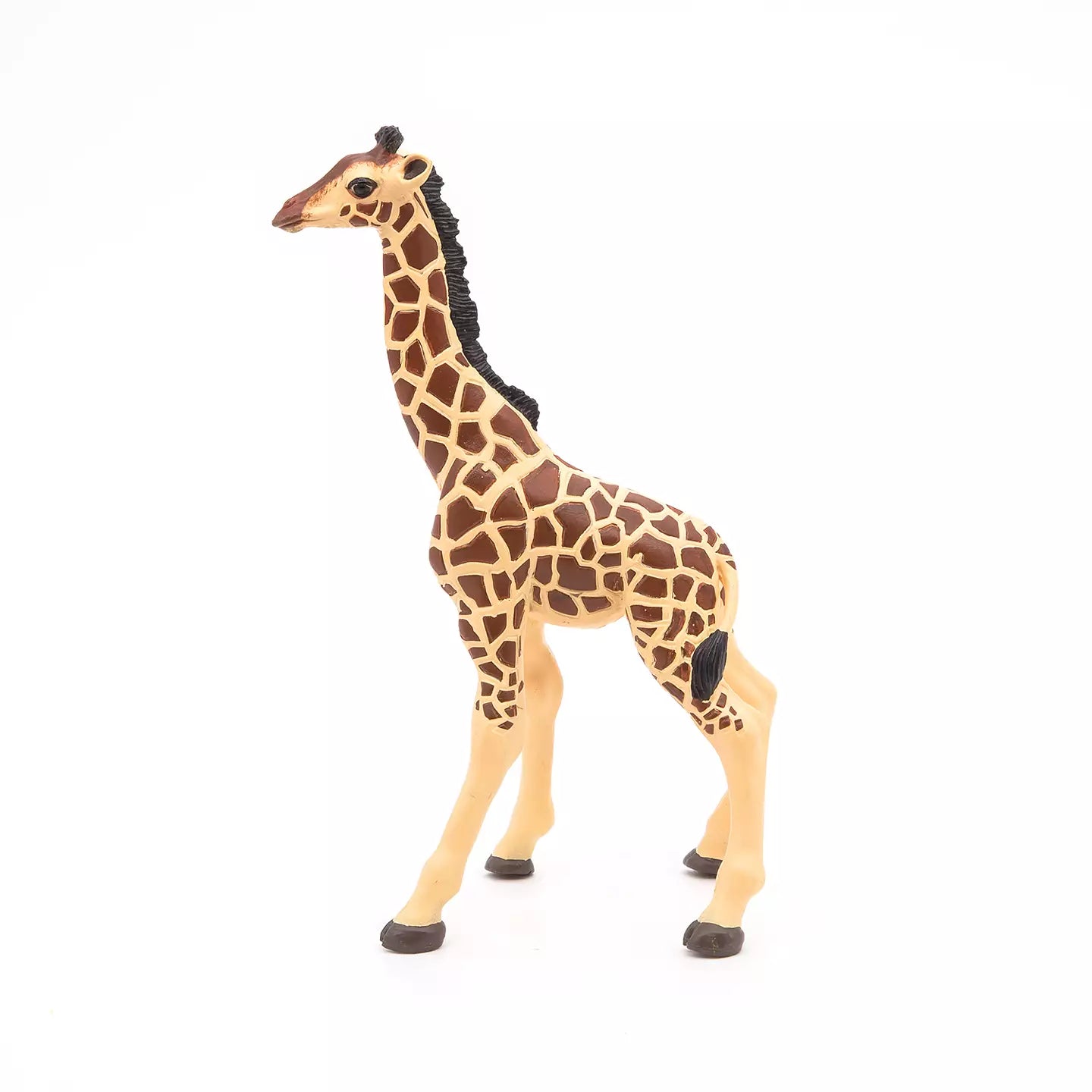 Giraffe calf