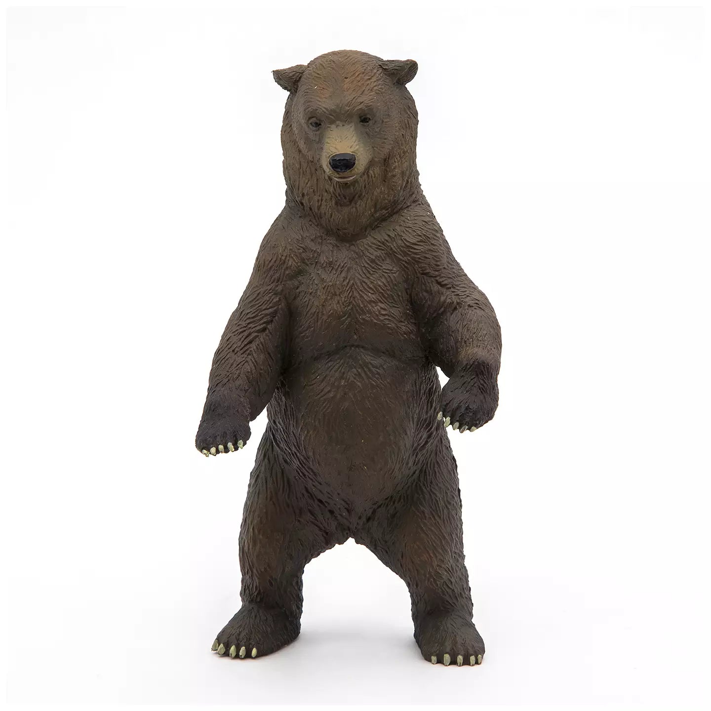 Grizzly Bear
