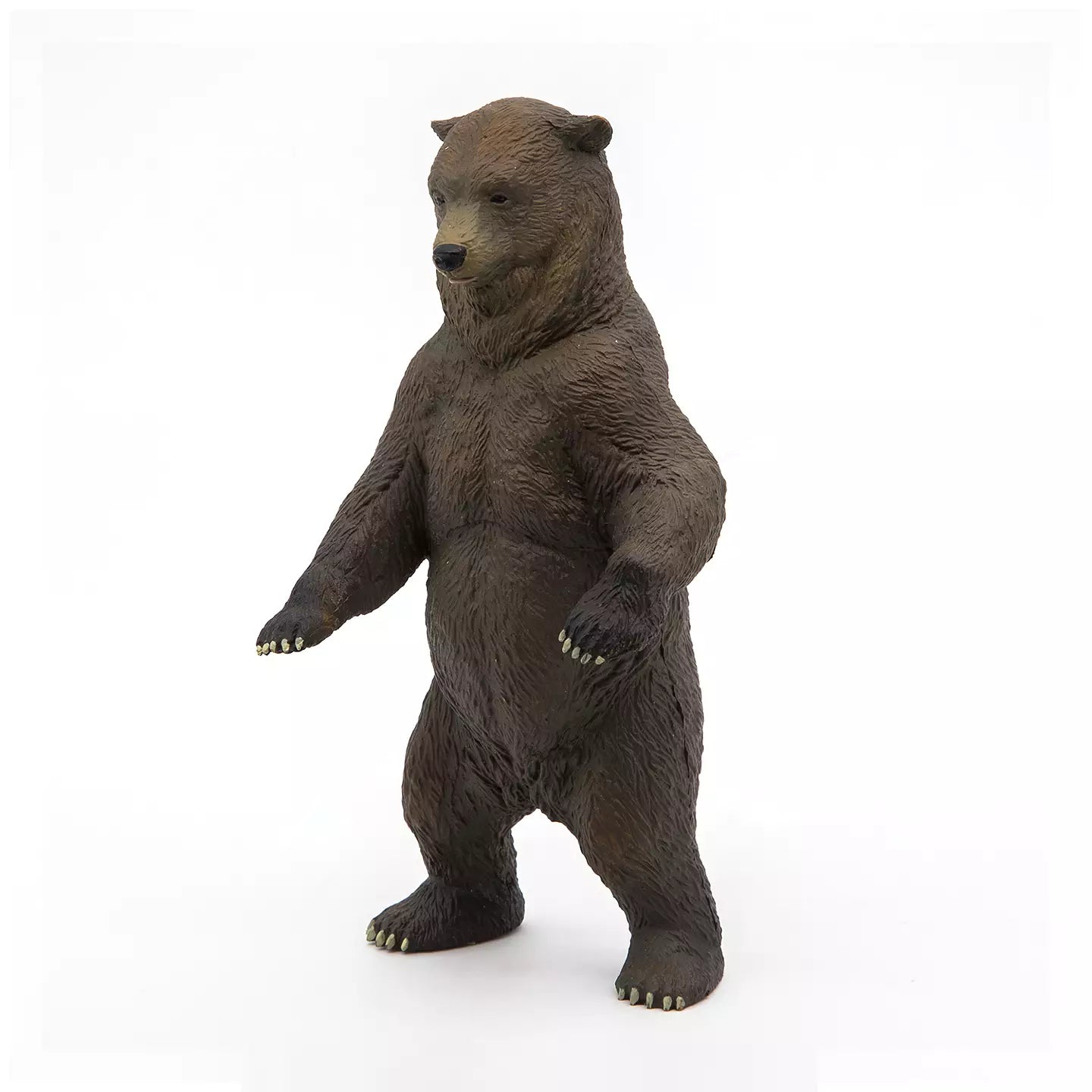 Grizzly Bear